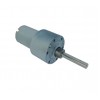 10 Rpm Johnson Geared Motor